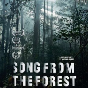 Song from the Forest Song from the Forest