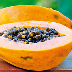 Entdeckung überraschender Heilwirkungen der Papaya